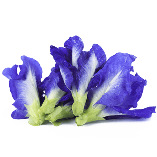 Natural ingredients of Swarnaprashan drops including Gold Bhasma, Brahmi, Shankhpushpi, Ashwagandha