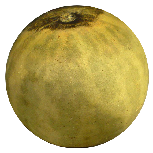 Natural ingredients of Swarnaprashan drops including Gold Bhasma, Brahmi, Shankhpushpi, Ashwagandha