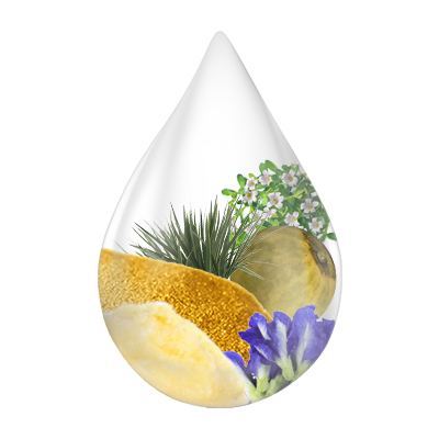 Natural ingredients of Swarnaprashan drops including Gold Bhasma, Brahmi, Shankhpushpi, Ashwagandha