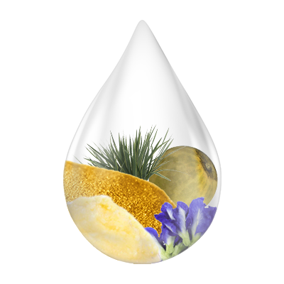 Natural ingredients of Swarnaprashan drops including Gold Bhasma, Brahmi, Shankhpushpi, Ashwagandha