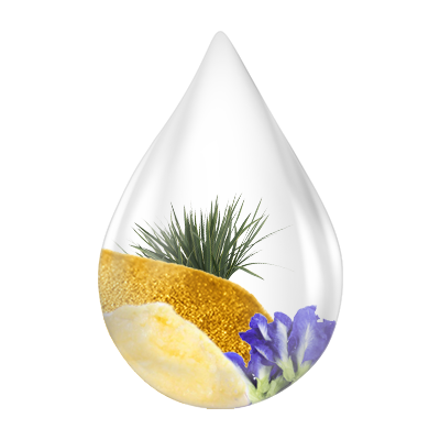 Natural ingredients of Swarnaprashan drops including Gold Bhasma, Brahmi, Shankhpushpi, Ashwagandha