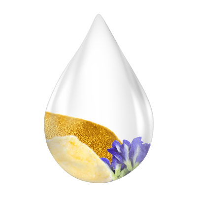 Natural ingredients of Swarnaprashan drops including Gold Bhasma, Brahmi, Shankhpushpi, Ashwagandha