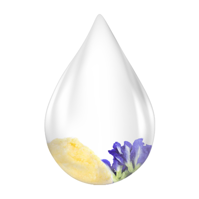 Natural ingredients of Swarnaprashan drops including Gold Bhasma, Brahmi, Shankhpushpi, Ashwagandha