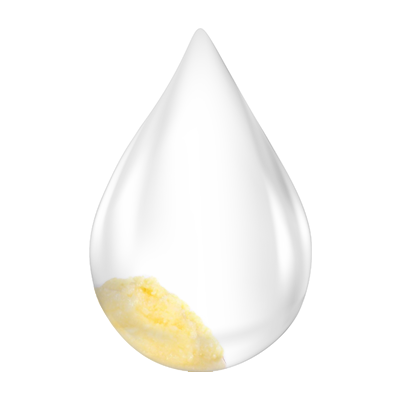 Natural ingredients of Swarnaprashan drops including Gold Bhasma, Brahmi, Shankhpushpi, Ashwagandha